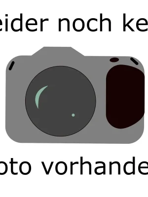 Garantierte Lieferung BOSCH BIM Segmentsägeblatt, 85mm