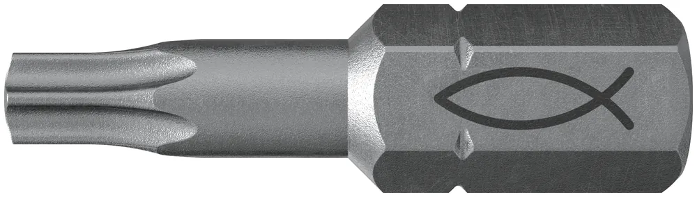 Super-Preis Fischer Profi Bit FPB T 15 (10) | 25 mm | 10 Stück | 15 | 1148781