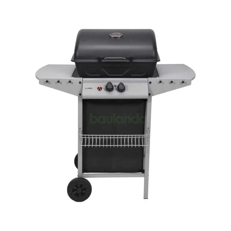 Bestpreis Gasgrill 5,5kW, 2 Brenner, Stahl 97,3 × 53 ×102 cm