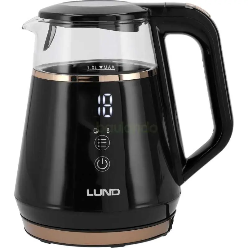 Wasserkocher 1,0 l Temperatureinstellungsfunktion 1100W Neue Kollektion